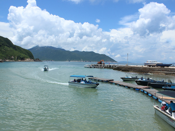 群英荟萃三门岛，文韬武略决霸主