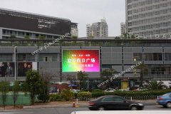 风雨五载屡建功，益田假日见真屏