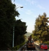 尊龙凯时首页可调光LED路灯进军深圳